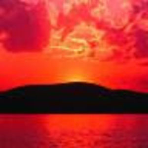 Meet your Posher, Nina